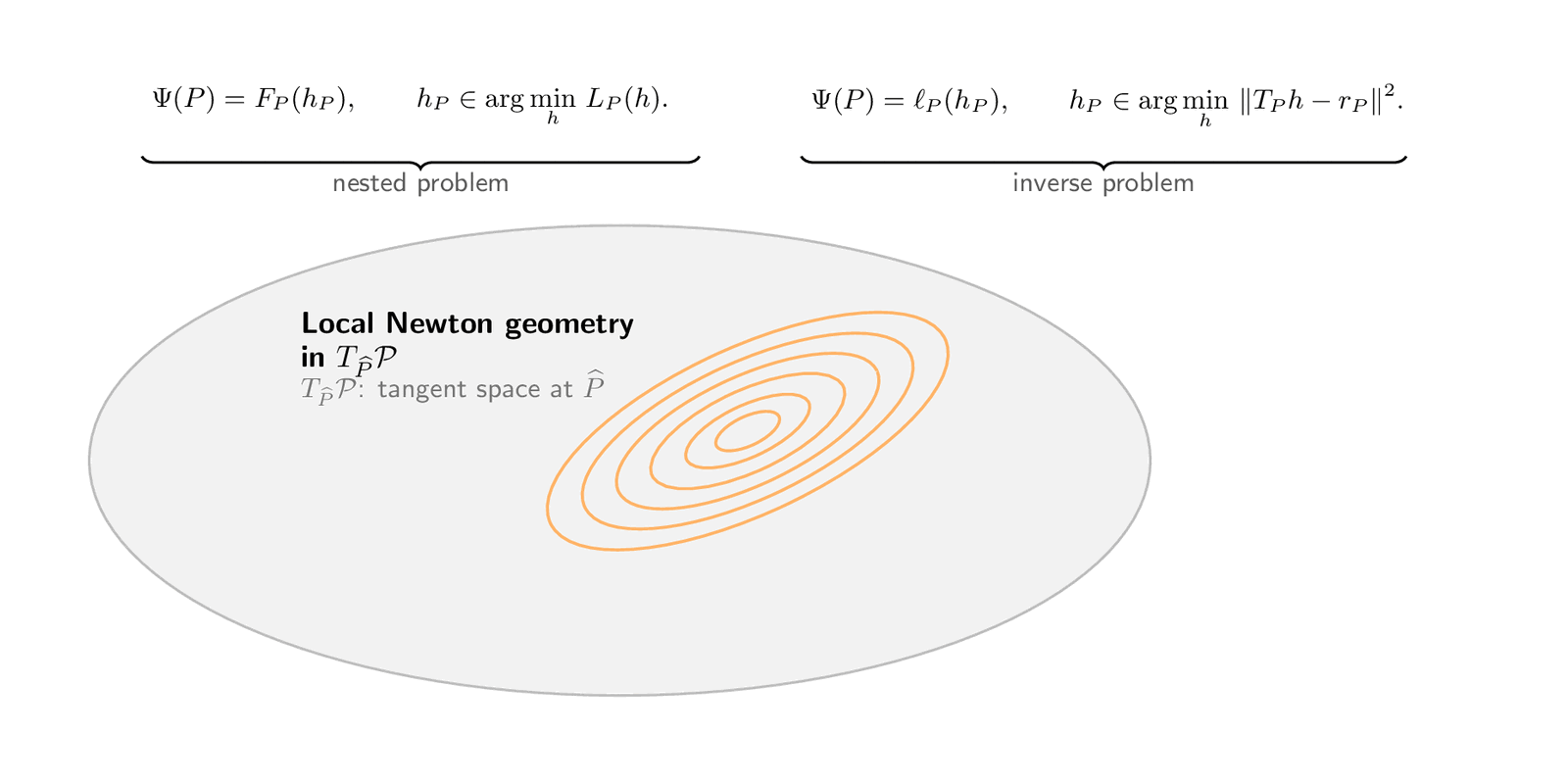 Animated local Newton geometry for nuisance-robust nested and inverse problems